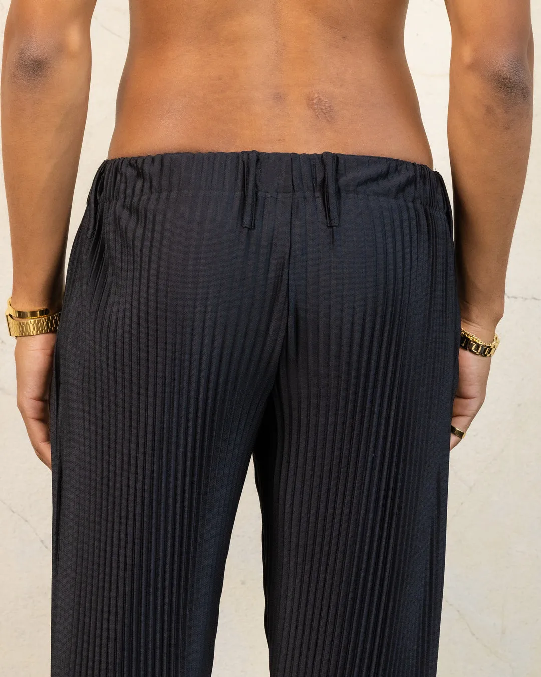 Black Plisse Harbour Pants - Elegant Pleated Trousers