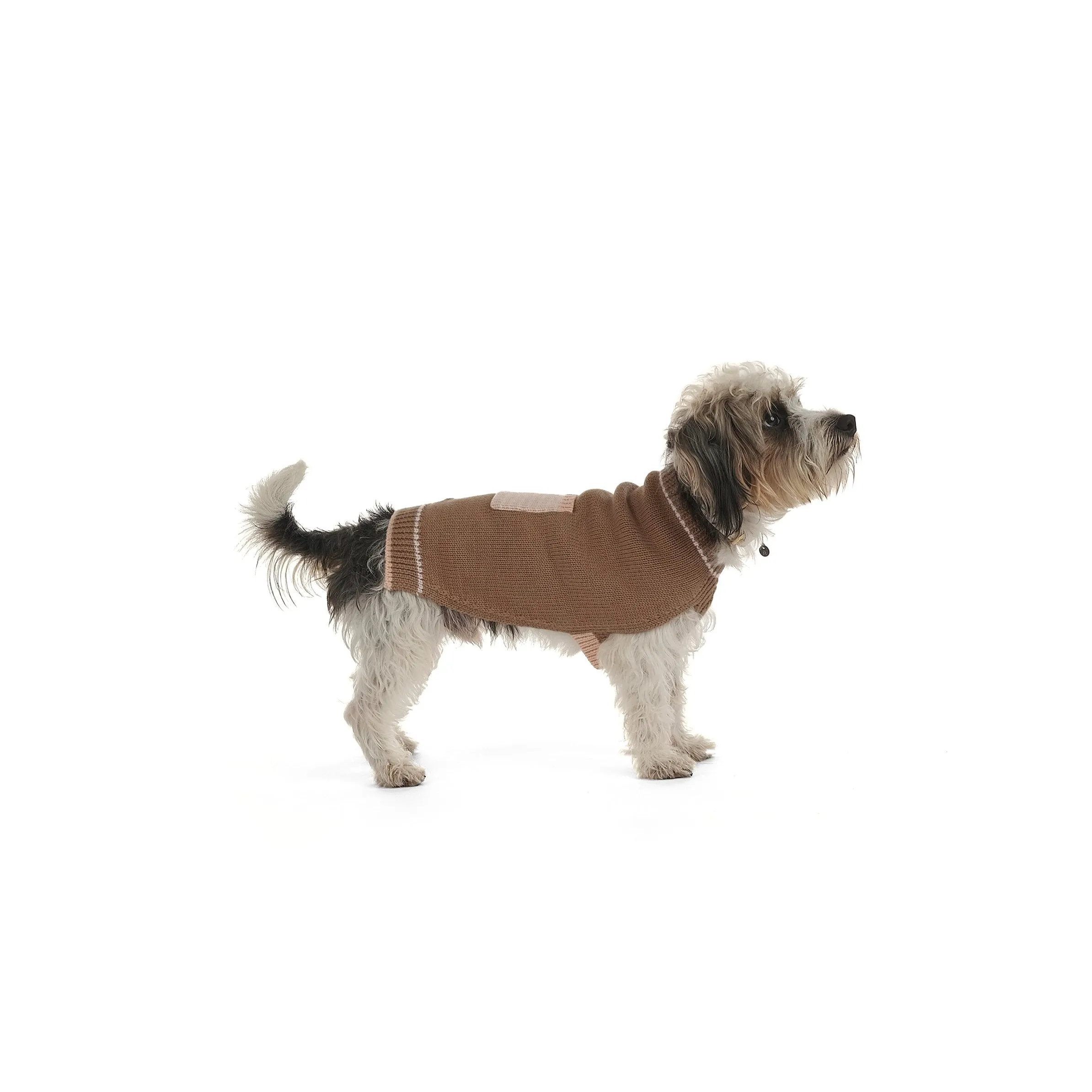 Breton Merino Dog Pullover